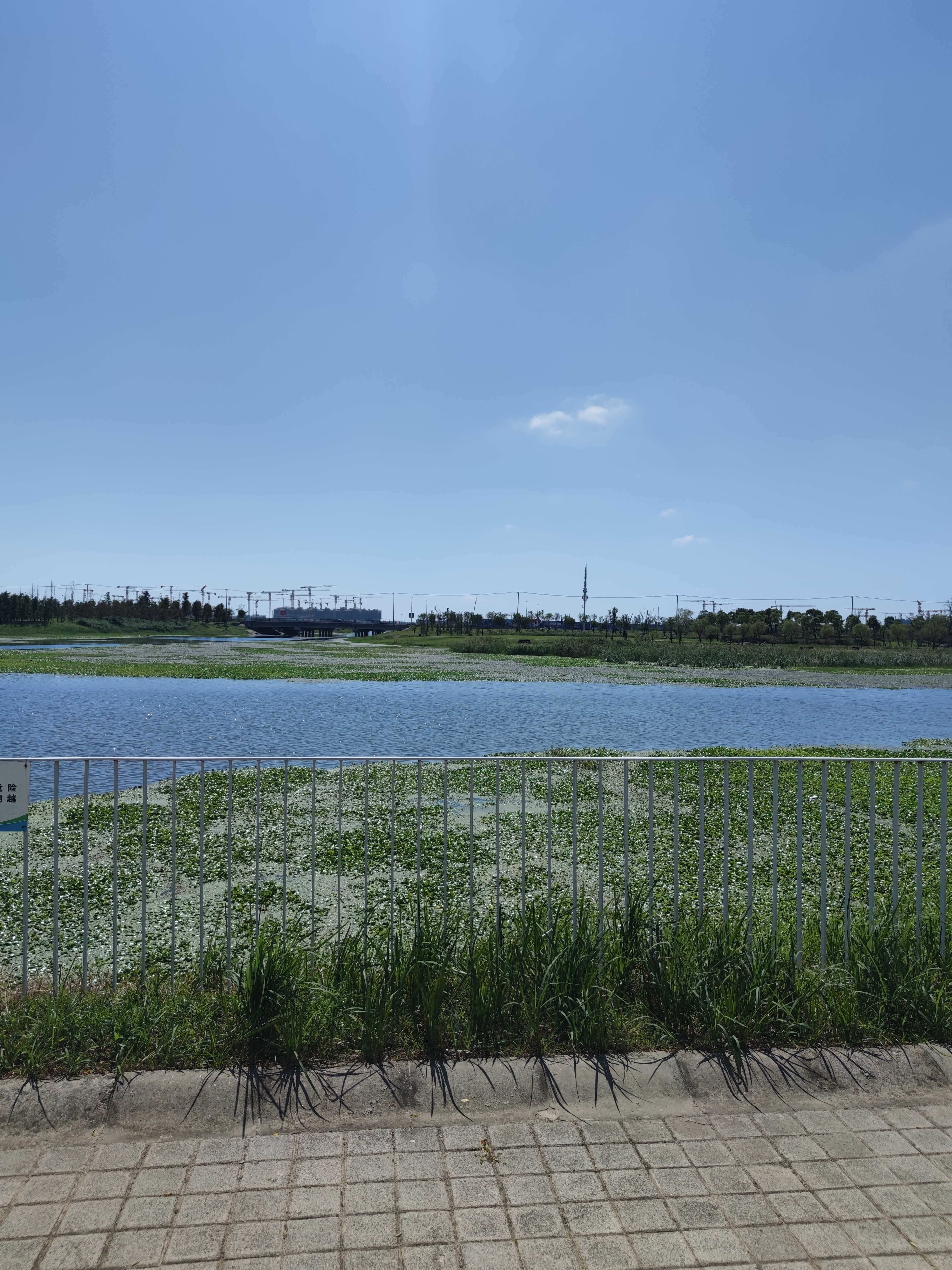 中央美术学院中法学院文化课考试及录取回顾