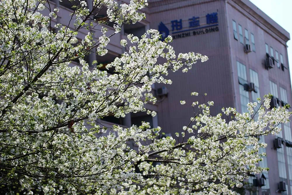 市外招收学生120人！绵阳外国语学校2020年高中招生公告出炉