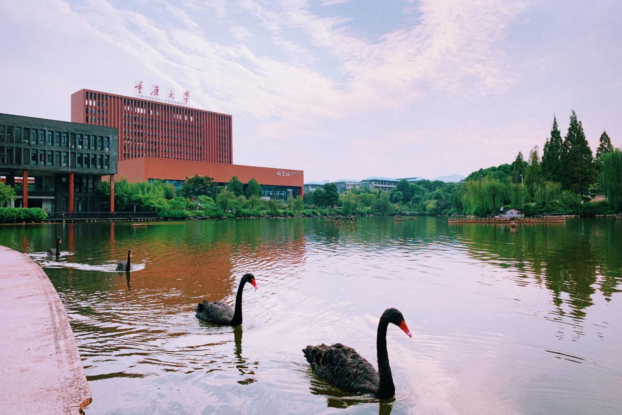 来重庆上大学贵吗？不同专业差异极大，对比北上广也有优势