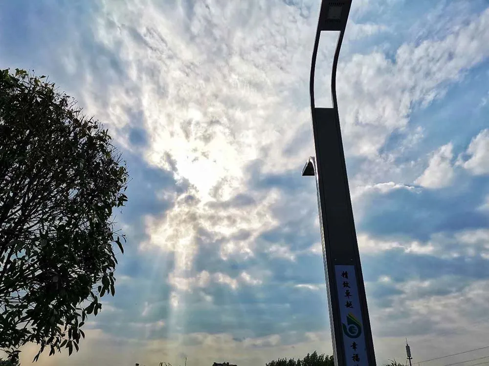 市外招收学生120人！绵阳外国语学校2020年高中招生公告出炉