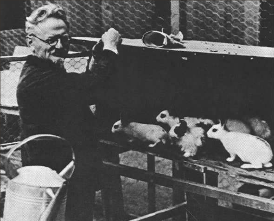 托洛斯基是被谁杀（斯大林之敌：“苏联红军之父”托洛茨基，如何在墨西哥遭到暗杀？）