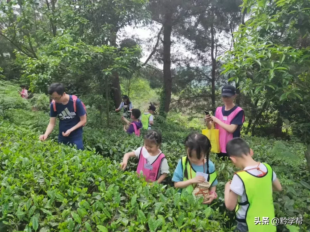插班生招生！观山湖培文学校三至六年级招生来袭！