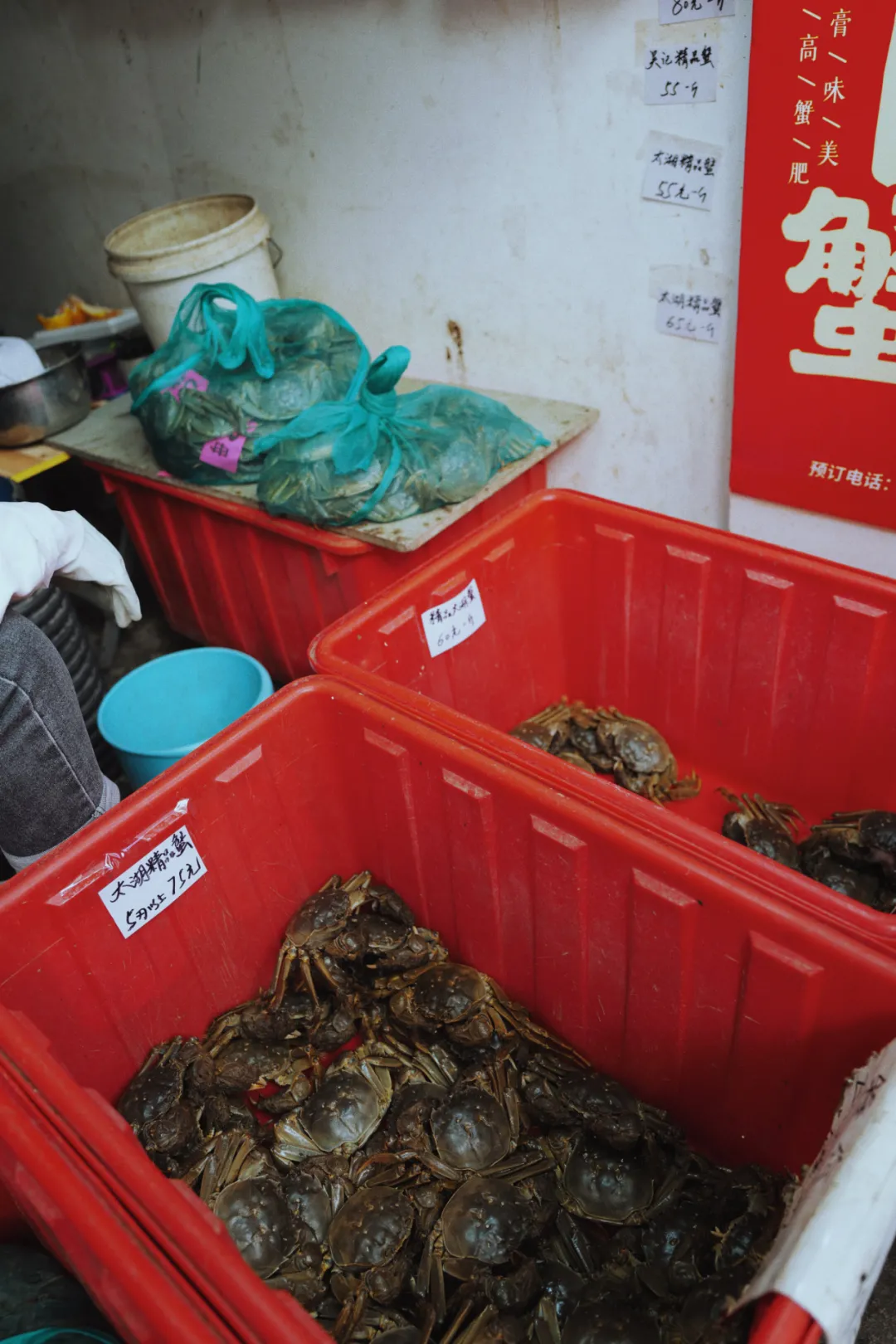 苏州招搬运工最新招聘（苏州最有人气的菜市场到底能有多好逛）