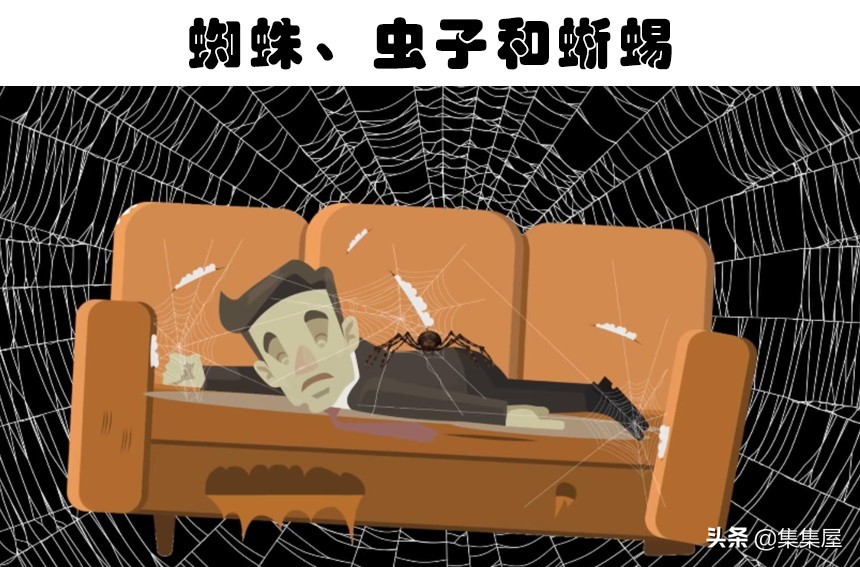 真实发生在世界上的8只杀害或吃掉主人的动物