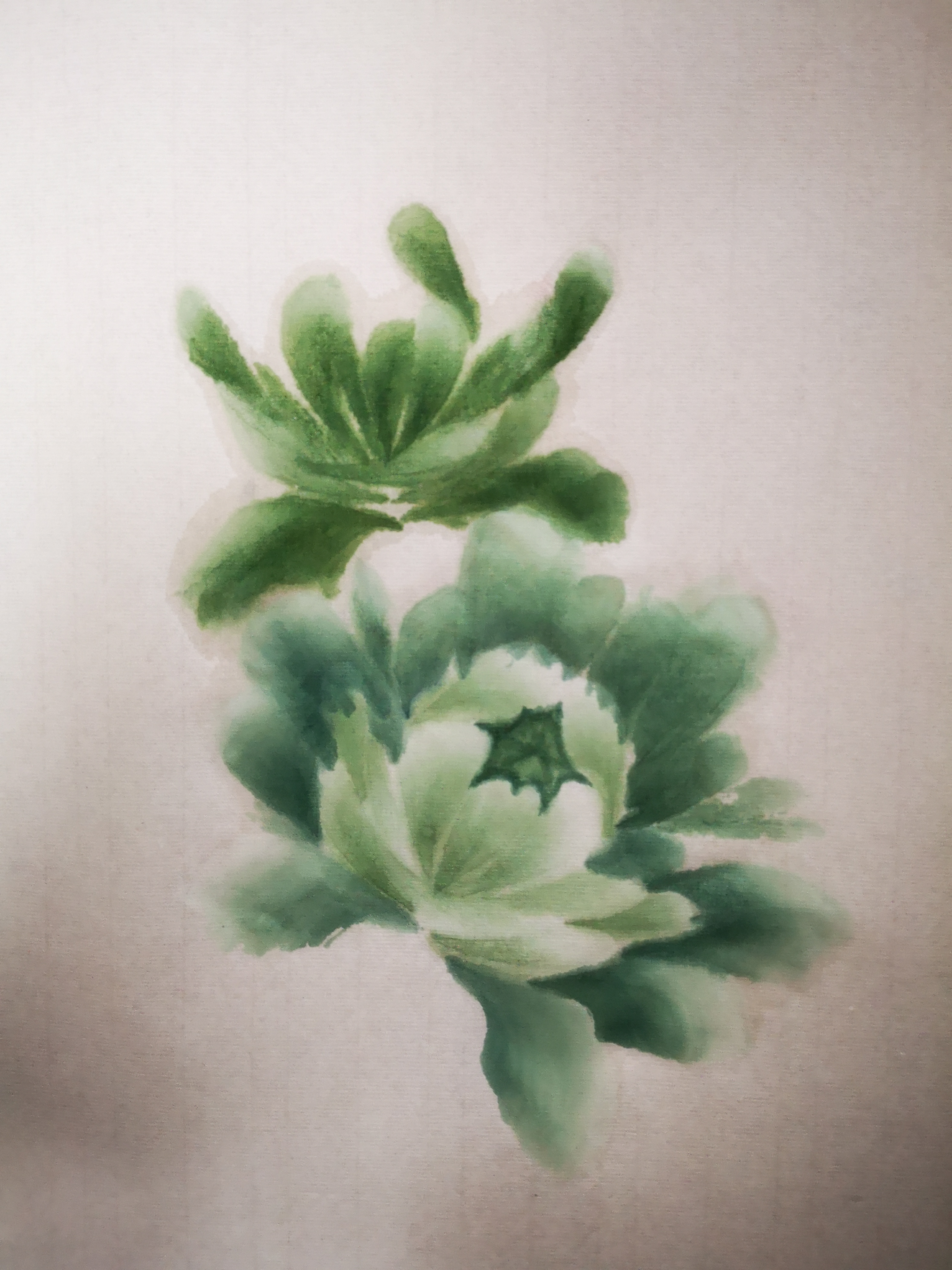 国画绿牡丹花的调色_国画写意绿牡丹图片 - 成语词句网