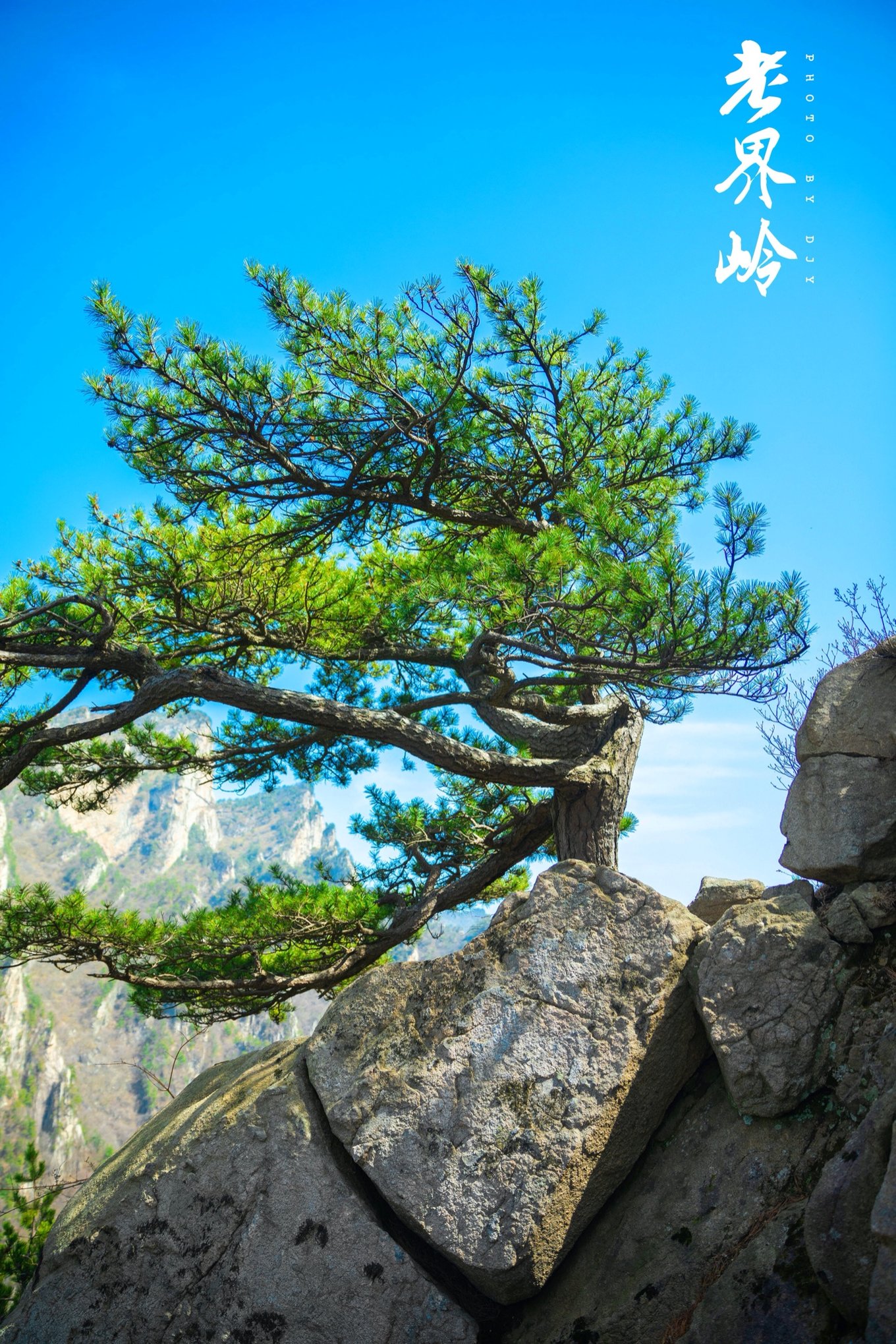 西峡周边旅游景点(河南老界岭) - 悦闻天下
