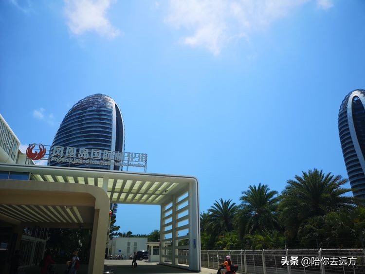 西沙~南海中的一片莲