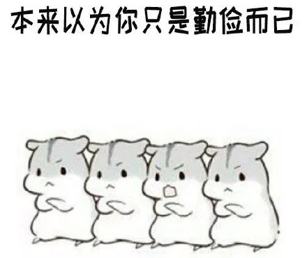 仓鼠表情包合集|我们的友谊走到尽头啦,哼