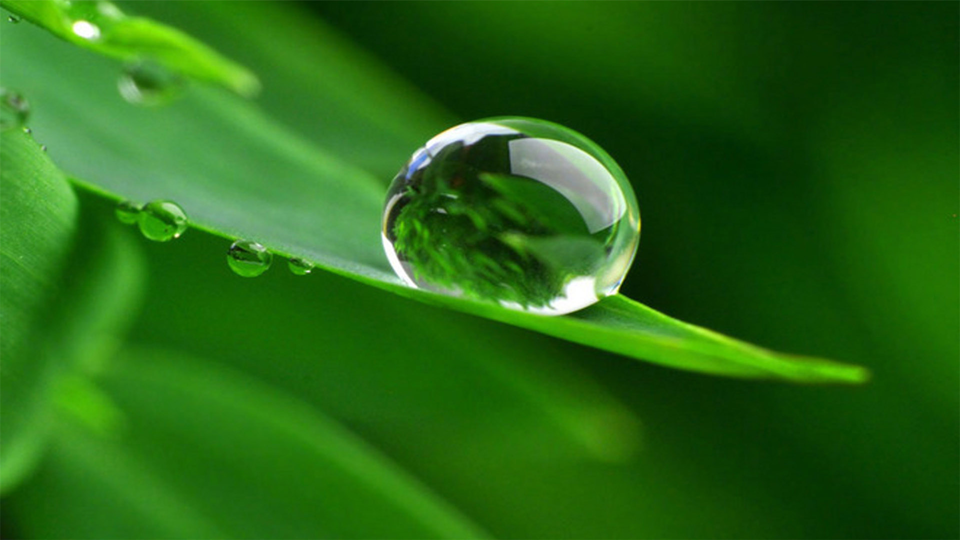 82张护眼电脑桌面壁纸,超多超全,唯美漂亮