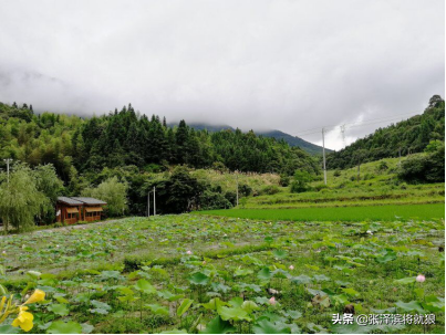 游柳永故里，寻白水古韵