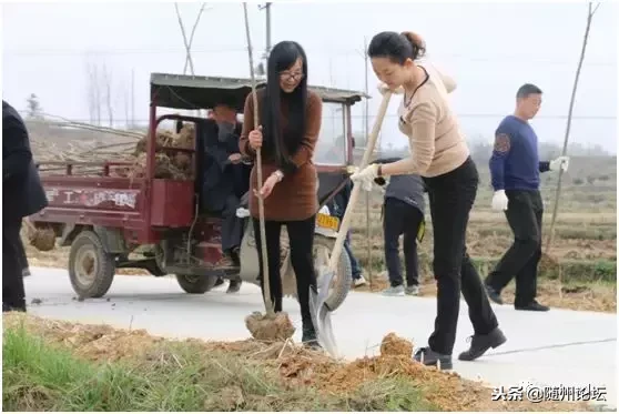 随州足球场围网机构哪家好点(大美洪山情 幸福教育路——随县洪山镇2018年教育大事记要)