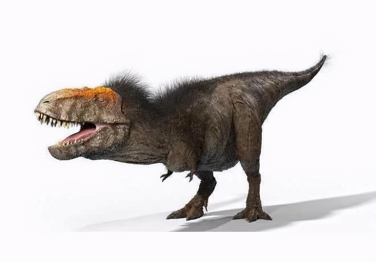 鸡的祖先是恐龙吗 什么恐龙是鸡的前代-百联百科