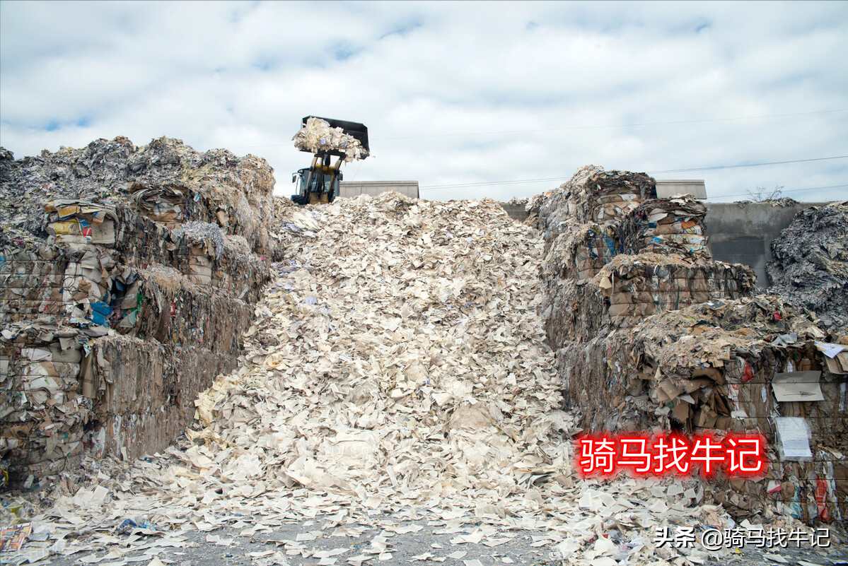 中国十大造纸企业节能环保发展报告