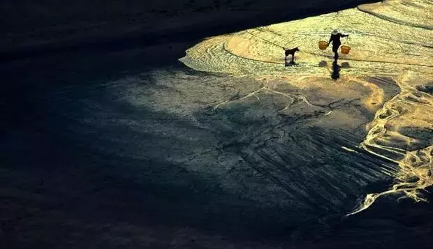 五一诗歌,五一诗歌有哪些