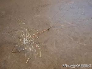 焊武帝！123个焊点、35个LED，手指硬核焊接术打造永恒郁金香……