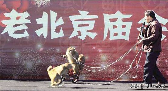 在北京，我们为什么不去逛庙会！