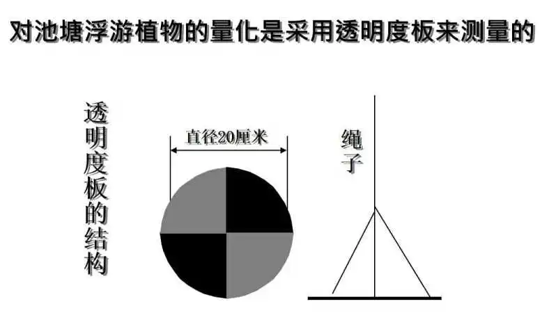 看一池水，一學就會，從此不壞水，不壞底。