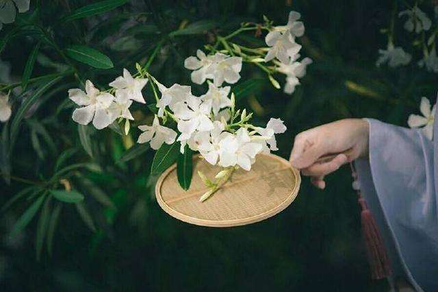 5首美得令人窒息的唐诗，外加一句千古流传的名句！