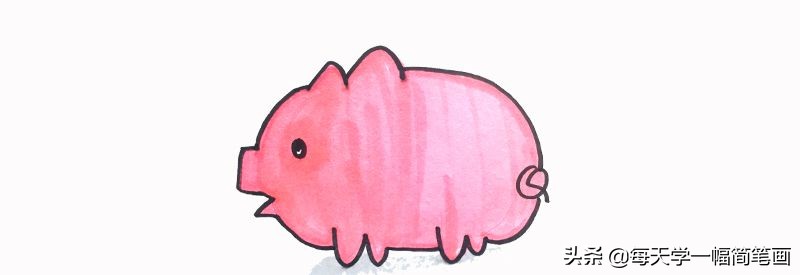 每天学一幅简笔画-用3个w和一个Q怎么画猪