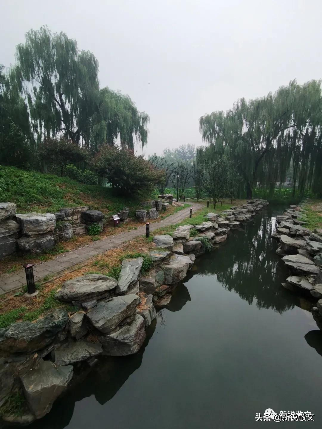 雨中游圆明园，西洋楼是历史，外面就是盛世，一墙恍如隔世