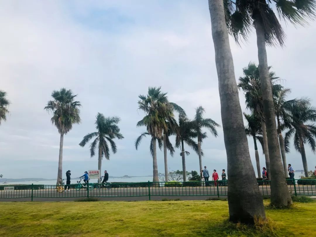 金鸡奖现场逛了一天，发现厦门最有意思的地方在这里