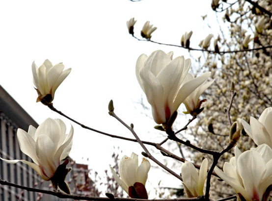 北方工业大学 2016-2018各地区录取分数线