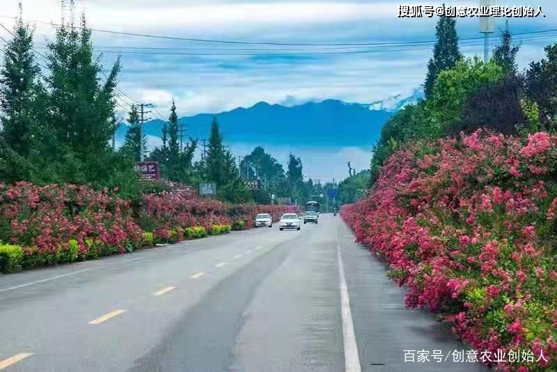 成都创意农业新场景教程（章继刚著）用花园理念重塑田园生活方式