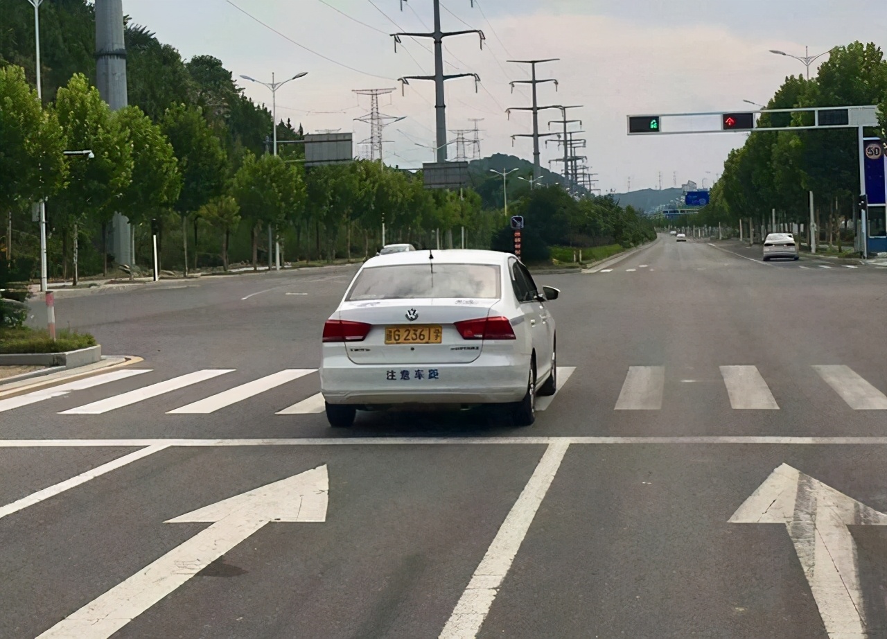 闯红灯一半停下来了怎么处罚（闯红灯一半停下来了怎么处罚超速百分五十）-第4张图片-科灵网