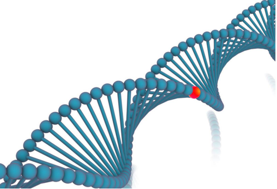 基因突变特点(cyp1b1基因突变特点)-第3张图片-科灵网