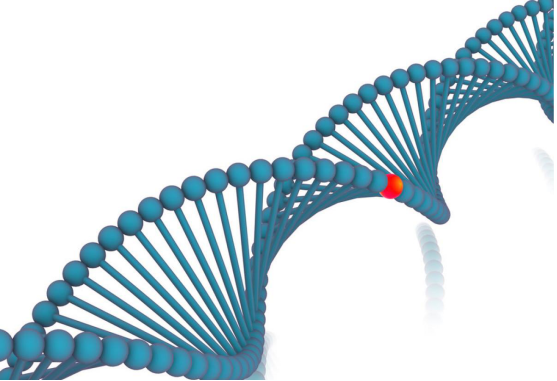 基因突变特点（CYP1B1基因突变特点）-第3张图片-科灵网