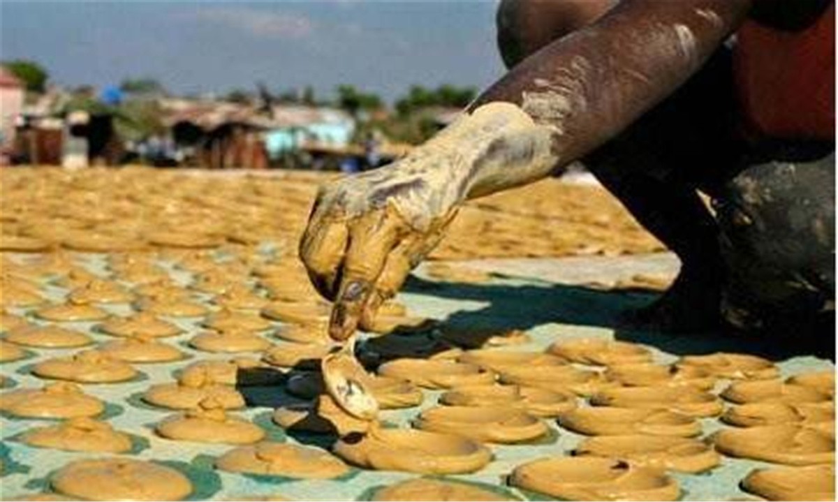 海地土饼干 辟谣图片