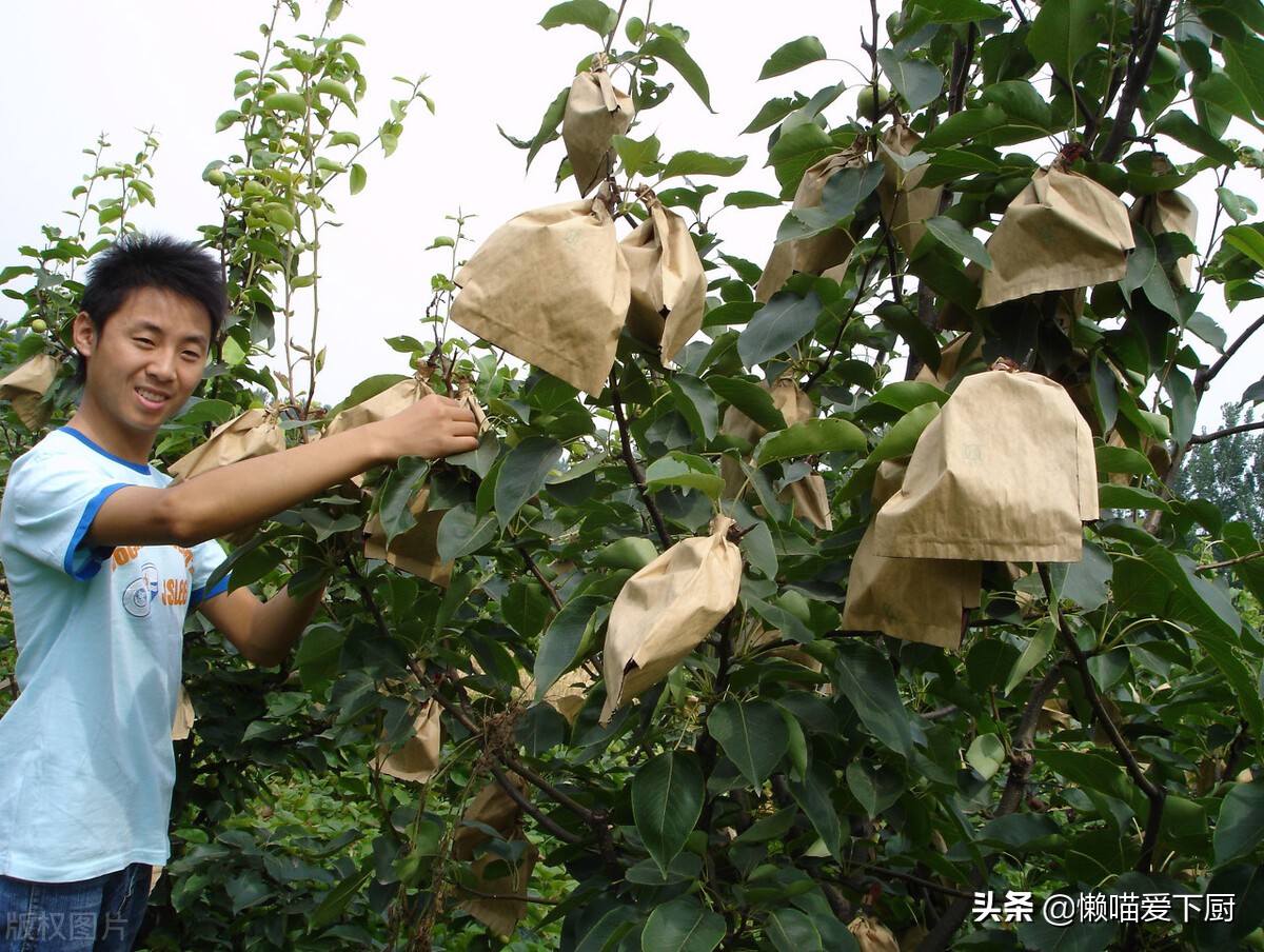 买水果时，记住6句水果“行话”，成为懂行人，不再怕踩雷