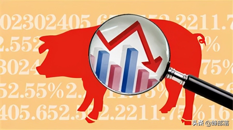 猪价8元观望，热钱进入猪市，猪肉价格上涨？控制好自己的菜篮子