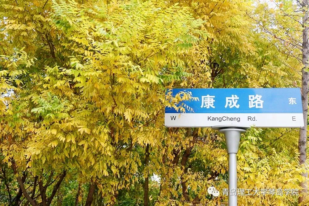 青岛理工大学琴岛学院：我把你画成画，与你平分琴院的秋色