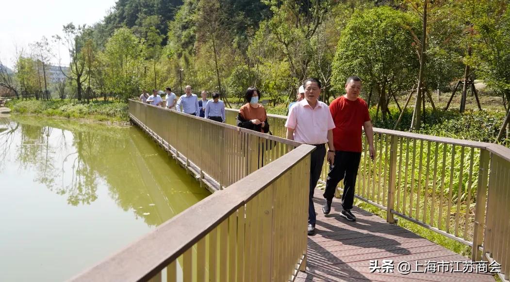 国庆不停歇 在沪苏商组团考察黄山推动多领域合作