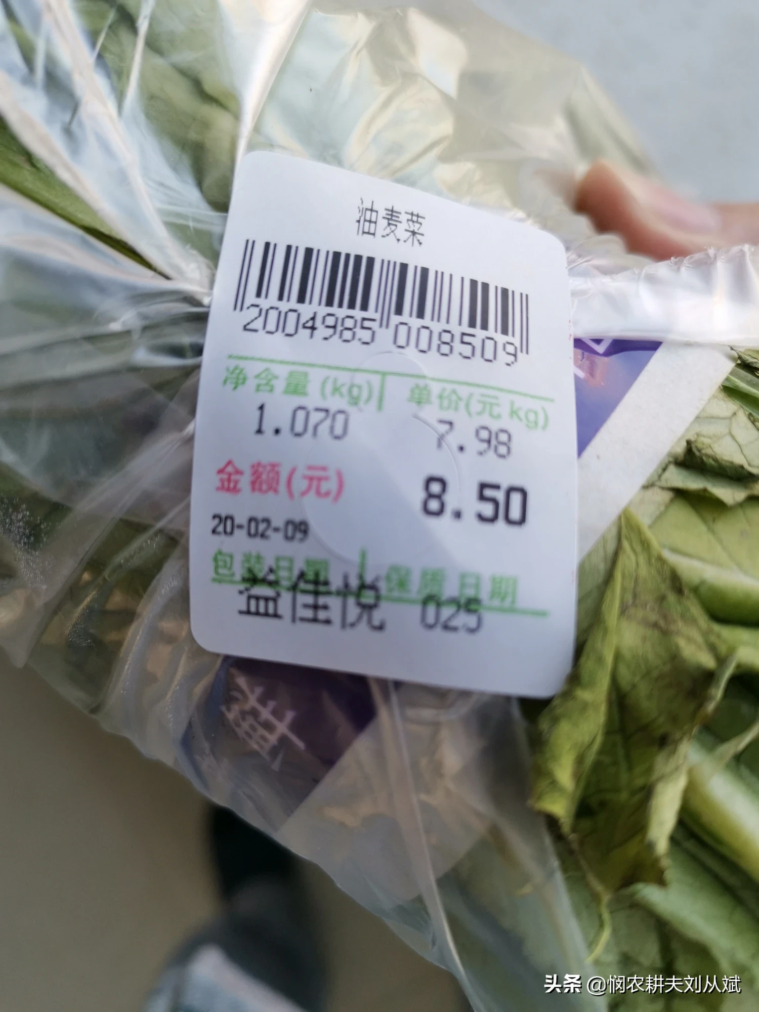 全国人民合力抗击新冠病毒，快来看看这里的蔬菜价格