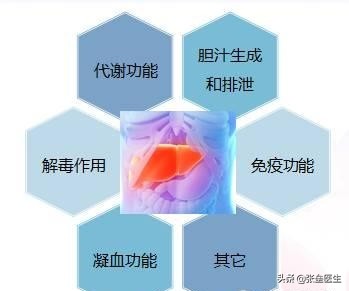 想看看肝脏好不好，又怕检查不全面？解读：这份检查清单请收好！