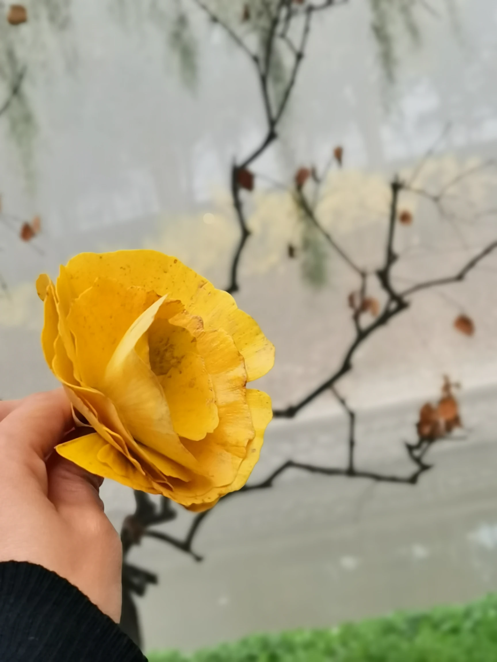 秋天景色美不胜收,每天学点摄影技巧,拍好“一叶知秋”