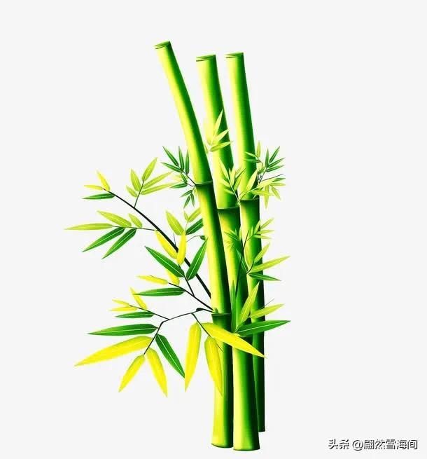 描写竹的诗有哪些短的（描写竹的诗有哪些）