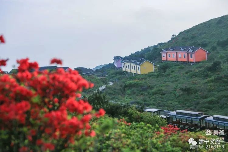 「三明网红打卡地」春节七天乐｜登高望远怎能不来金铙山