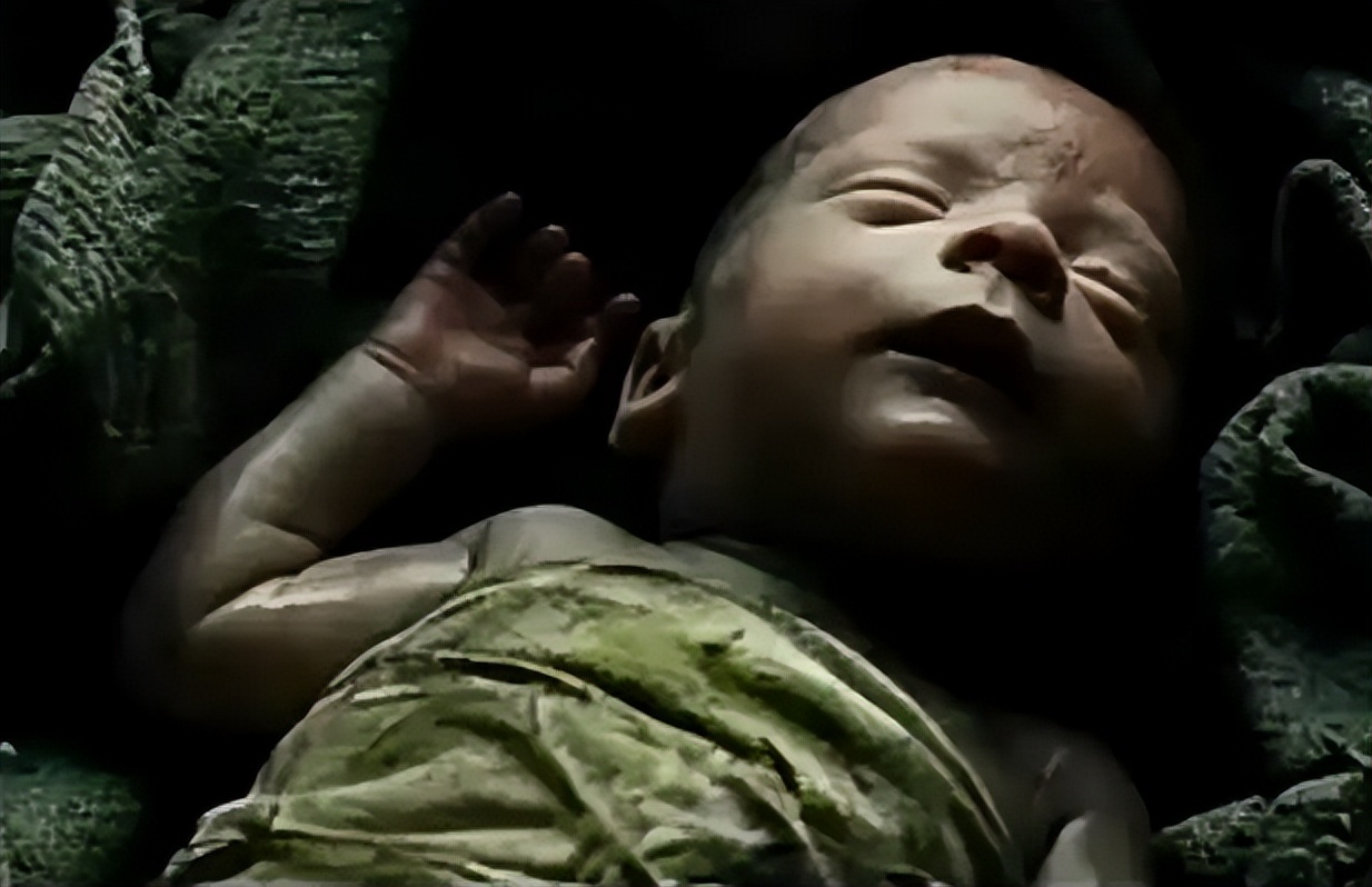 婴儿被丢弃在荒野,狐狸将他叼起带给拾荒老人,一起将婴儿抚养大