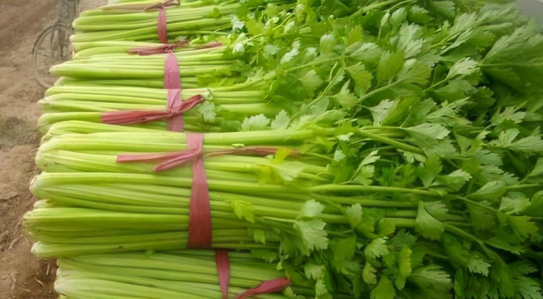 胃不好的人，提醒：蔬菜需挑着吃，这5种蔬菜少碰，助胃病好转
