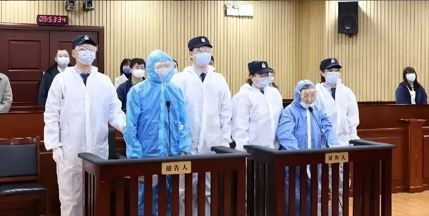 突发重磅，现实版高小琴、著名歌手曲婉婷母亲一审被判无期徒刑