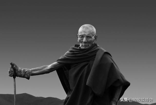 心花一朵，黑白交织的唯美元素之美