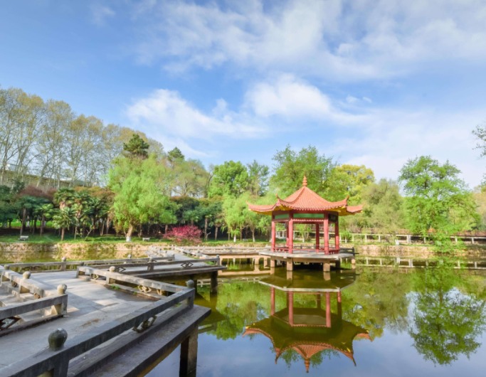 临床医学高校金字塔排名出炉，华中大表现亮眼，山大仅排第四