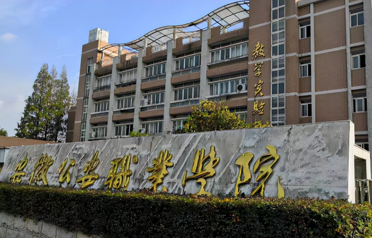 安徽考生捡漏的机会，3所专科大学有望升为本科，不妨提前关注