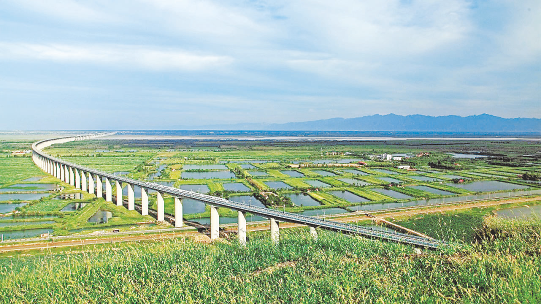 大西高鐵下的洽川濕地