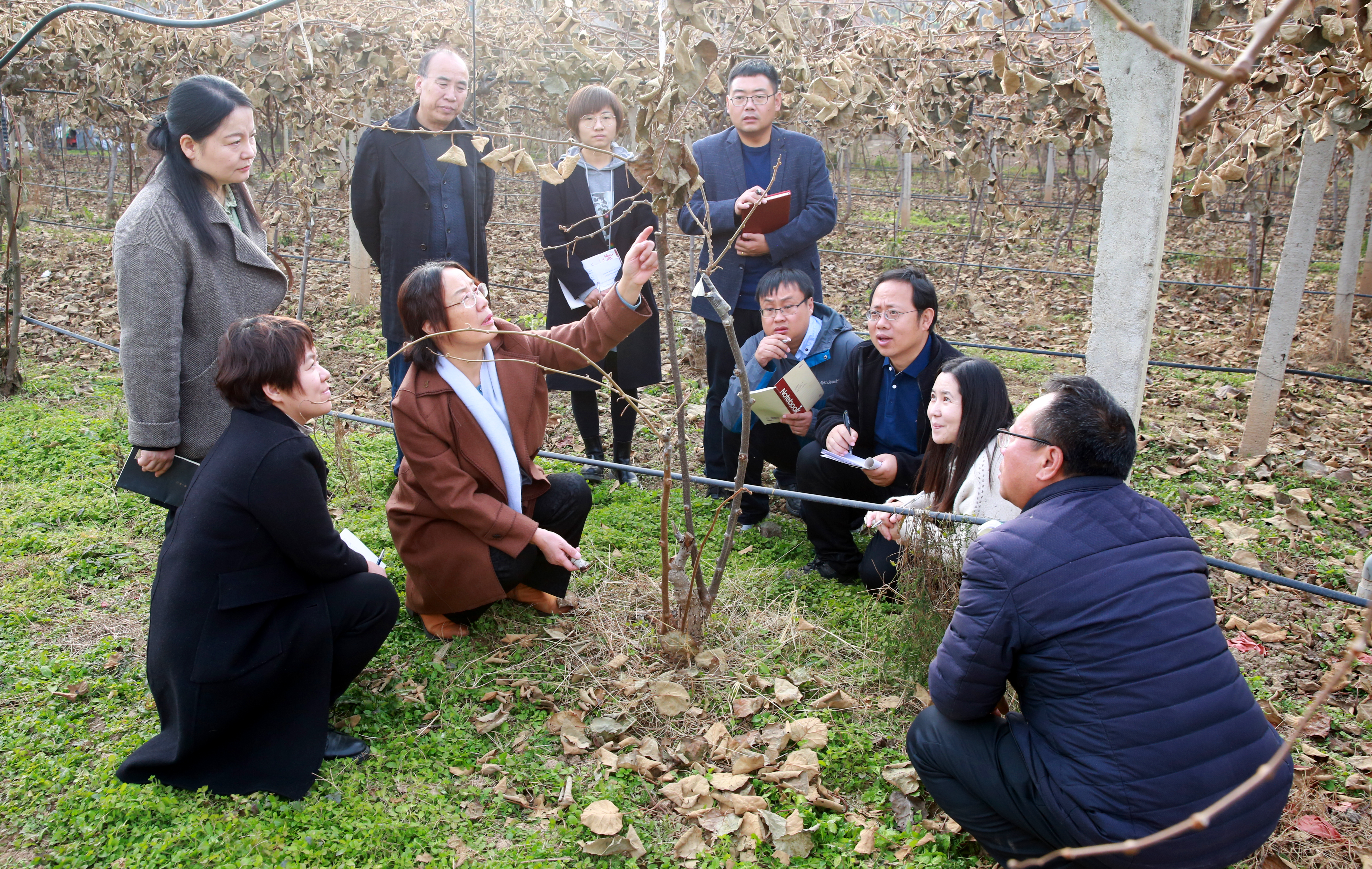 西北农林科技大学经济管理学院（西北农林科技大学植保学院黄丽丽团队）