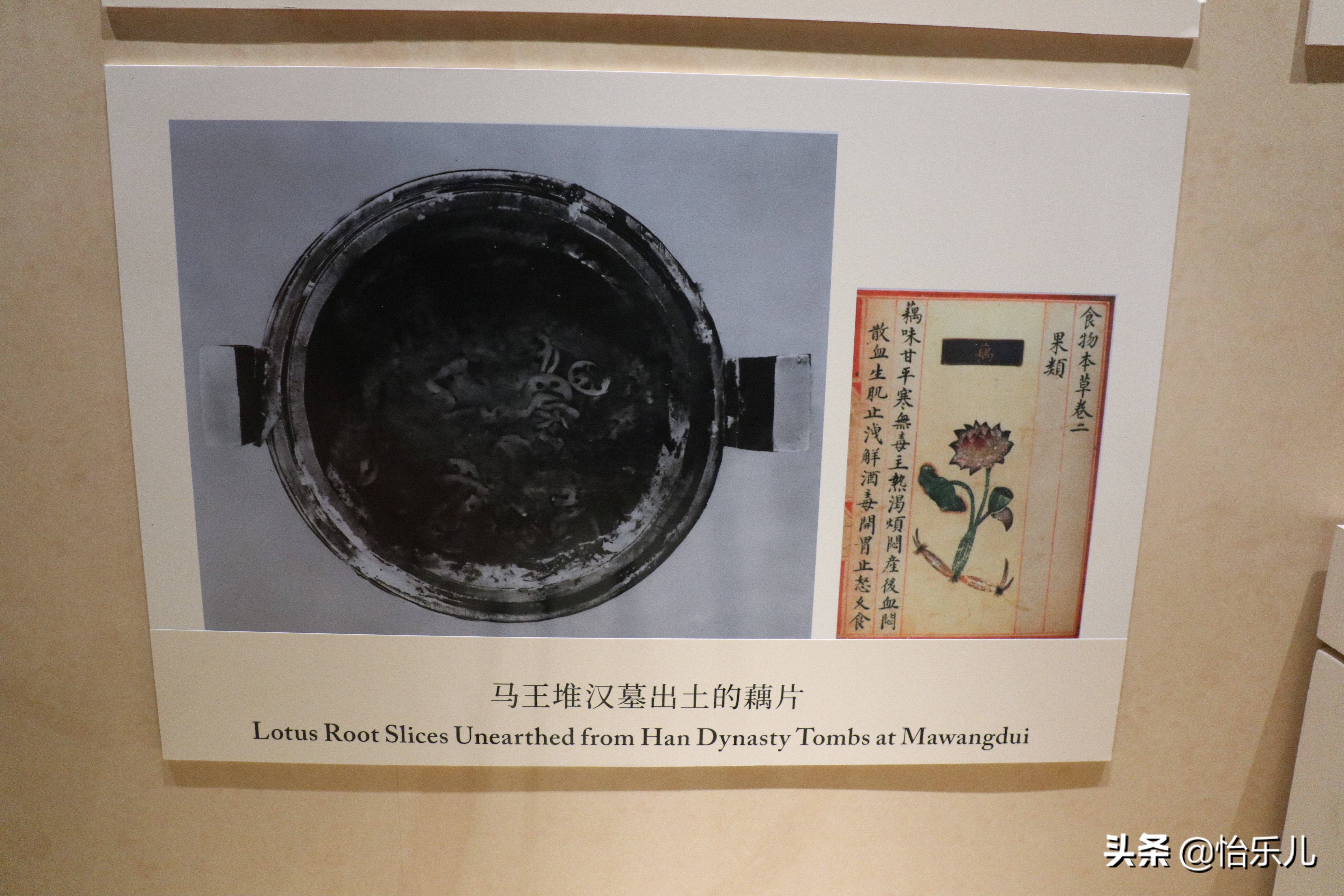 从《尚食》复原的6道美食，聊聊历朝历代的美食秘籍