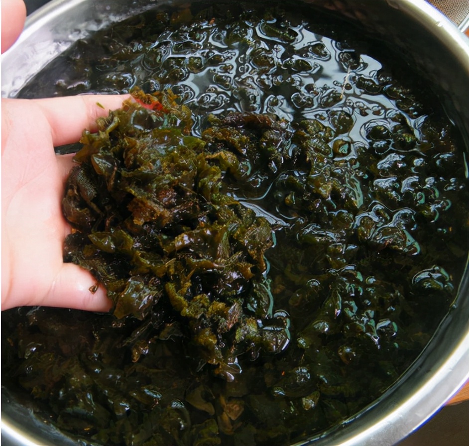地皮菜有毒吗,地皮菜几月就不能捡了